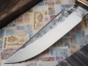 Нож Тигр, клинок из кованой стали Х12МФ, рукоять морёный граб резной, стабилизированная карельская береза